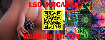 стафф Анжеро-Судженск