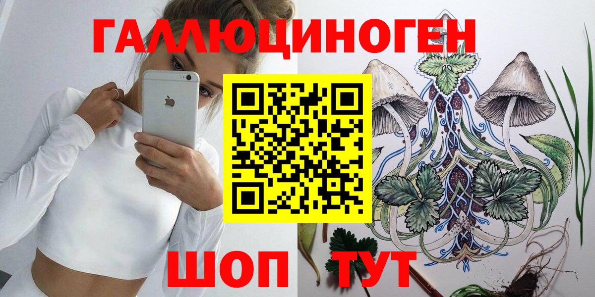 Псилоцибиновые грибы GOLDEN TEACHER  Вход с VPN  Галлюциногенные грибы мухоморы  Выкса 
